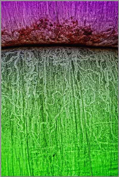 Lippen form farben kein mensch poster grün rosa dirk schmitz